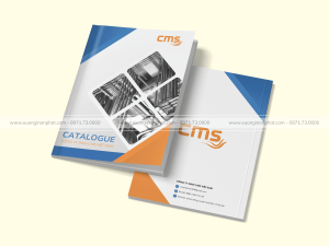 Catalogue CMS