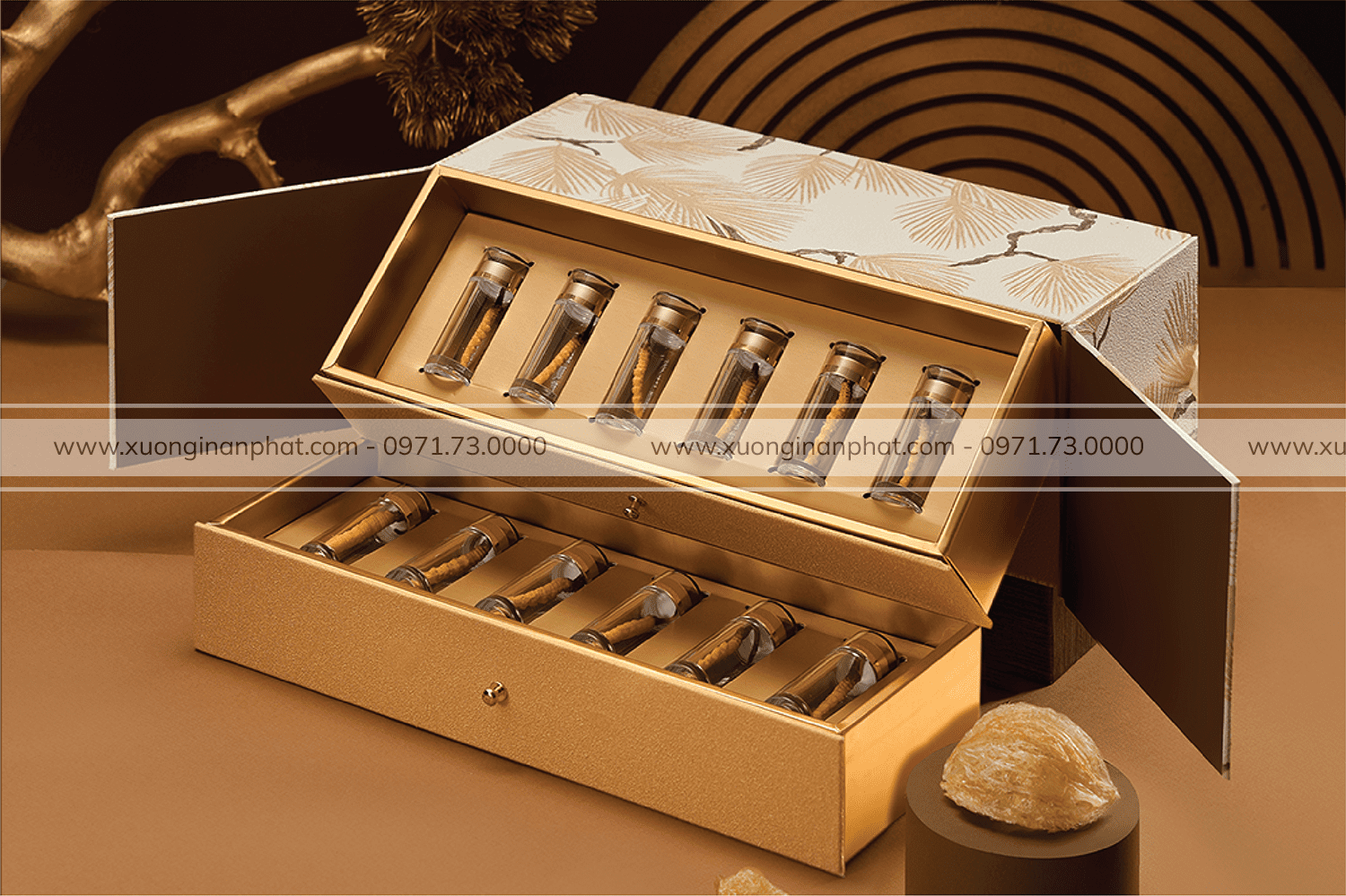 in Hộp Đông Trùng Hạ Thảo Ý An