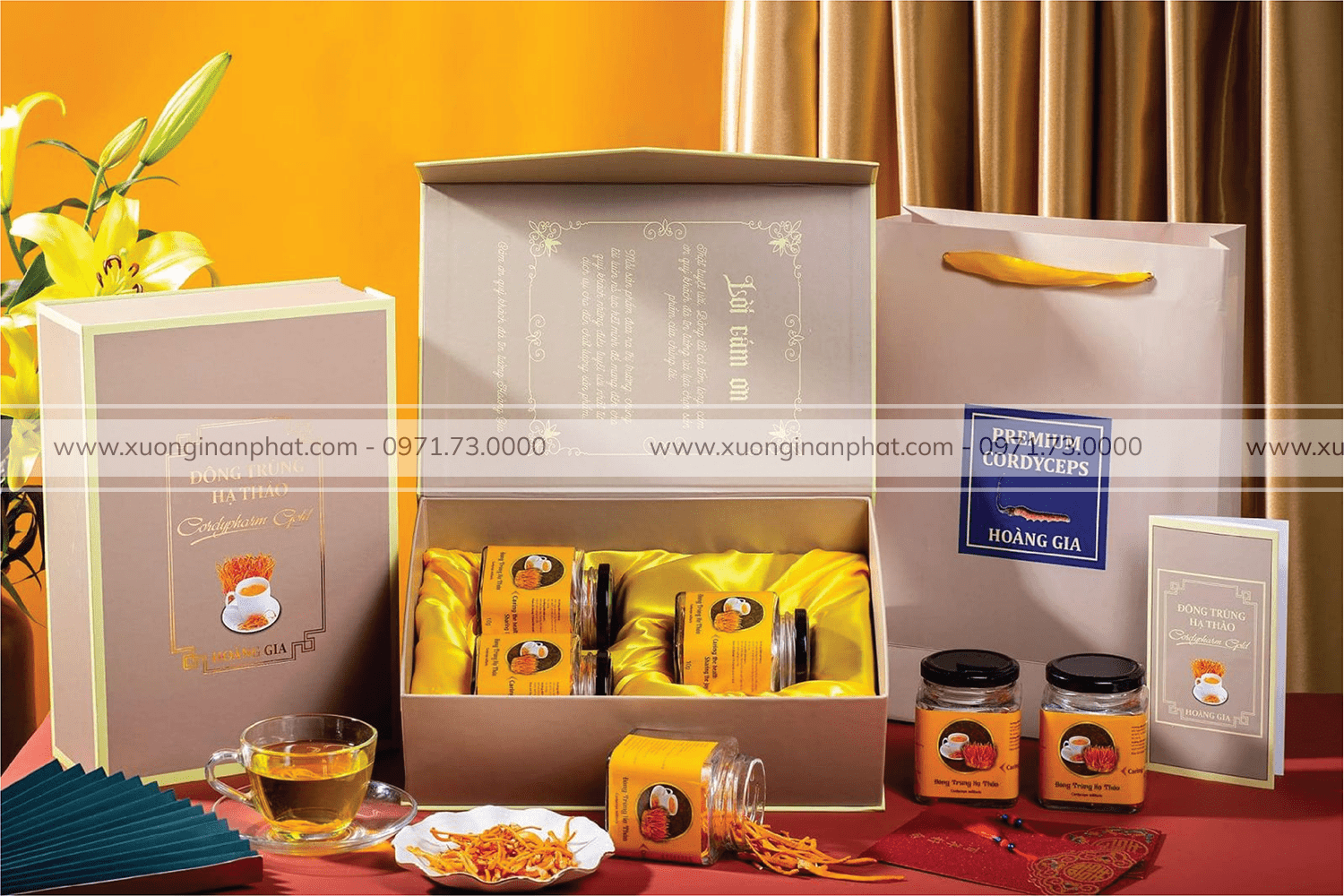 in Hộp Đông Trùng Hạ Thảo Hoàng Gia