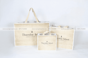 Túi giấy 24