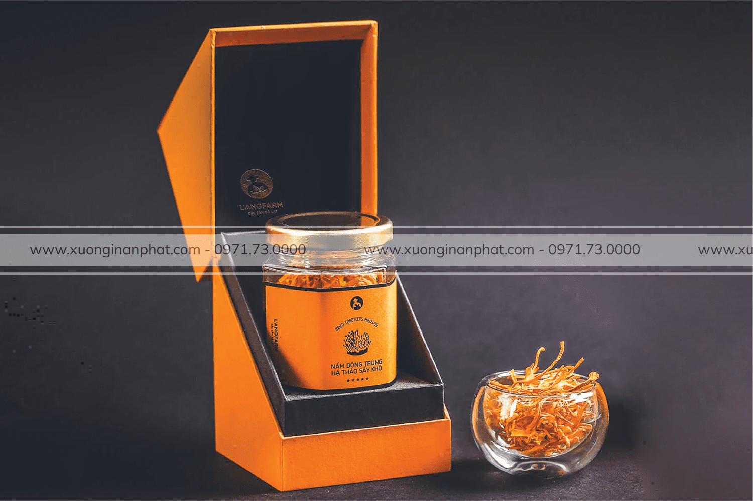 in Hộp Đông Trùng Hạ Thảo l’angfarm