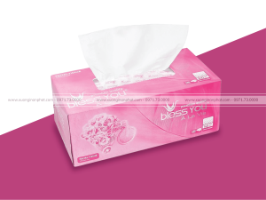 in hộp giấy rút Bless