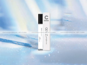 hộp nước hoa 28