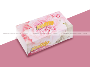 in hộp giấy rút Sofily