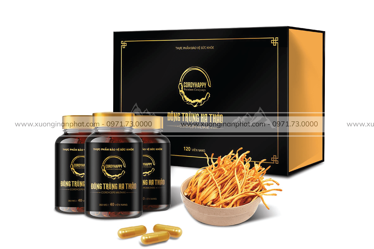 in Hộp Đông Trùng Hạ Thảo CordyHappy