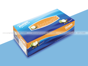 in hộp giấy rút Tempo AppleWood