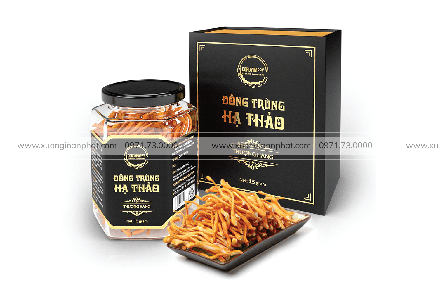 in Hộp Đông Trùng Hạ Thảo CordyHappy 15