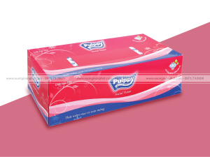 in hộp giấy rút Pulppy