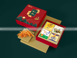 in Vỏ hộp Quà tết Ms.17