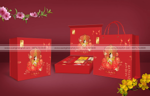 in Vỏ hộp Quà tết Ms.18