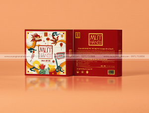 in Vỏ hộp Quà tết Ms.31