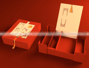 in Vỏ hộp Quà tết Ms.20