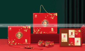 in Vỏ hộp Quà tết Ms.10