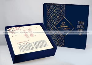 in Vỏ hộp Quà tết Ms.14