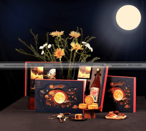 in Hộp bánh trung thu NoVoTel