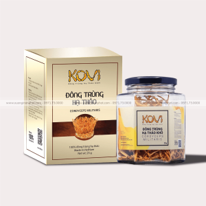 in Hộp Đông Trùng Hạ Thảo Kovi