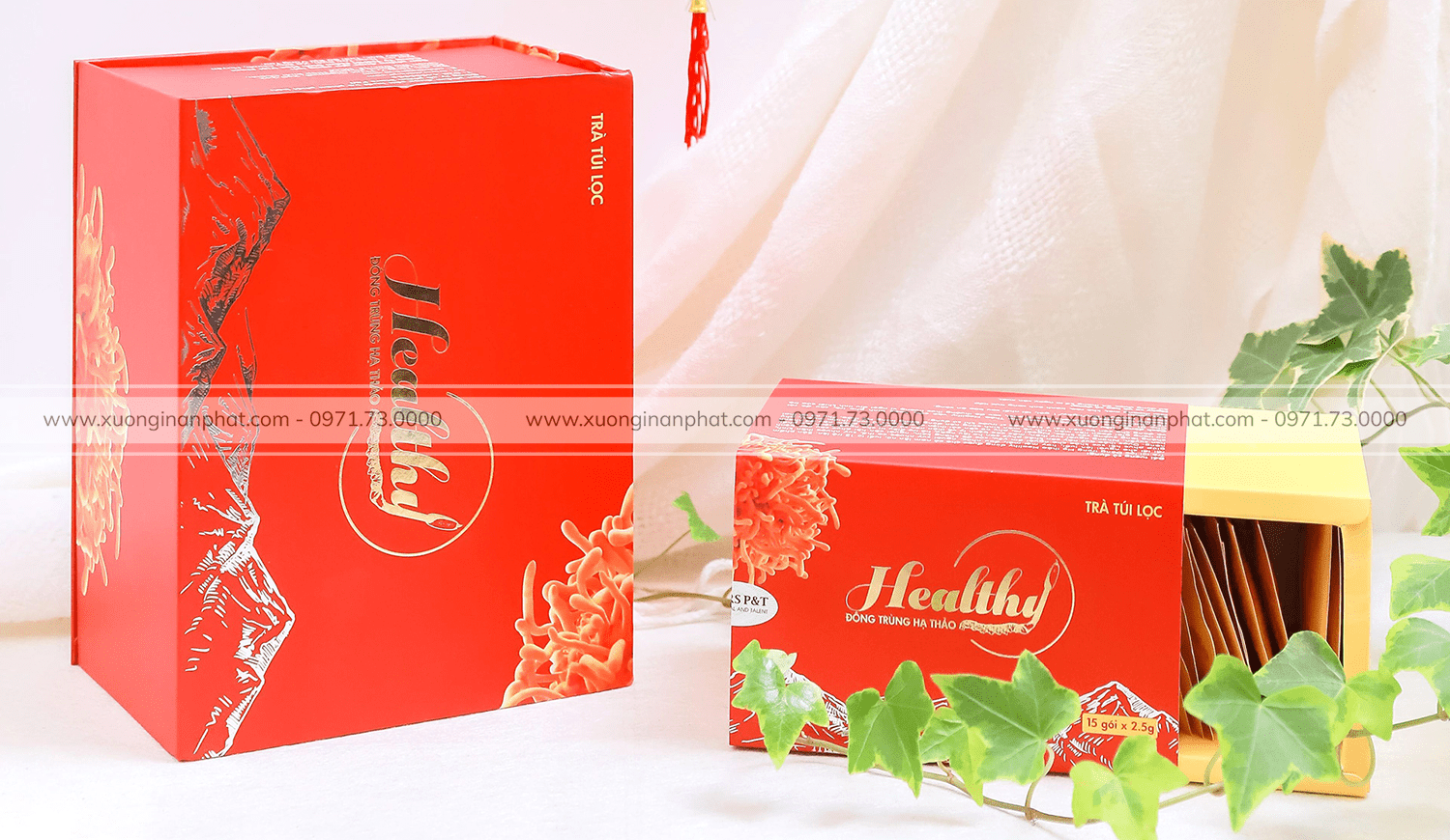 in Hộp Đông Trùng Hạ Thảo Healthy