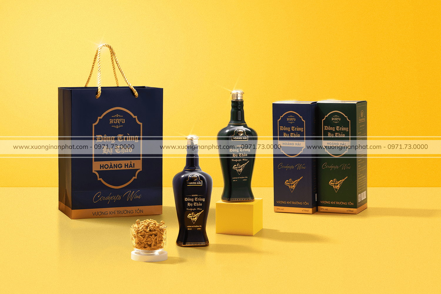 in Hộp Đông Trùng Hạ Thảo Hoàng Hải