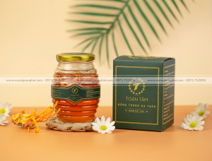 in Hộp Đông Trùng Hạ Thảo Toàn Tâm