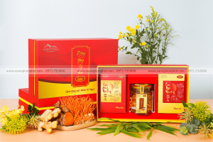 in Hộp Đông Trùng Hạ Thảo Elipha