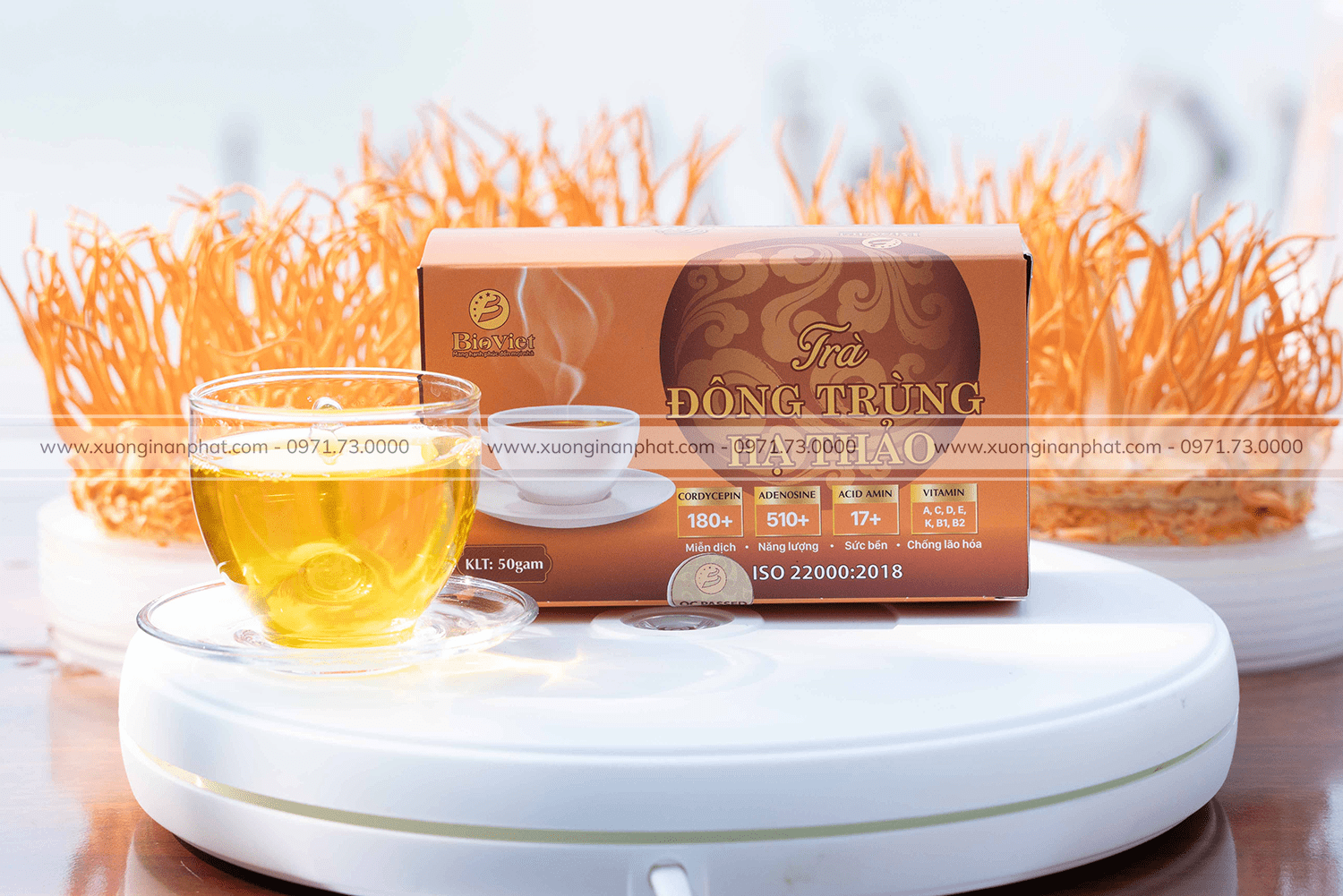 in Hộp Trà Đông Trùng Hạ Thảo