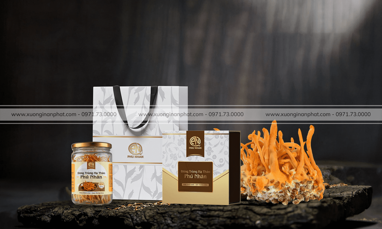 in Hộp Đông Trùng Hạ Thảo Phú Nhân