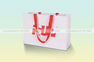 Túi giấy 67