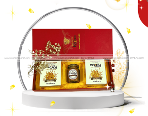 in Hộp Đông Trùng Hạ Thảo Cordy