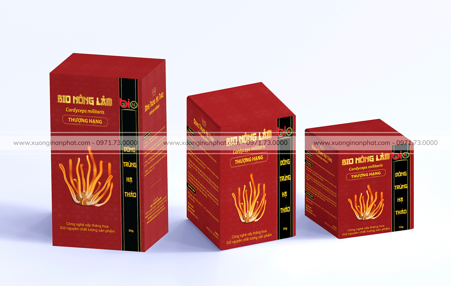 in Hộp Đông Trùng Hạ Thảo Bio Nông Lâm