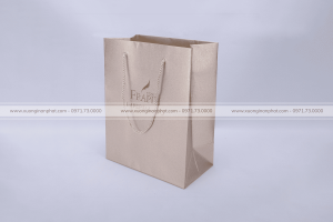Túi giấy 55