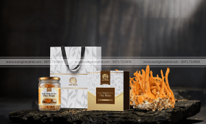 in Hộp Đông Trung Hạ Thảo Phú Nhân