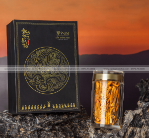 in Hộp Đông Trùng Hạ Thảo Ý An 2