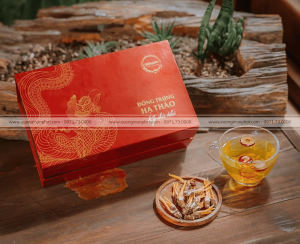 in Hộp Đông Trùng Hạ Thảo Cordy