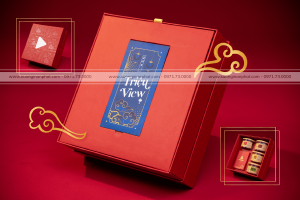 in Vỏ hộp Quà tết Ms.015