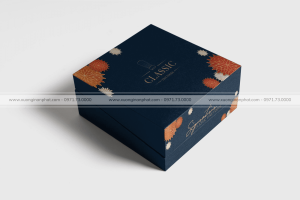 in Vỏ hộp Quà tết Ms.008