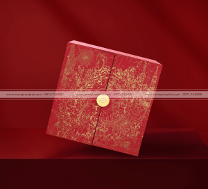 in Vỏ hộp Quà tết Ms.004