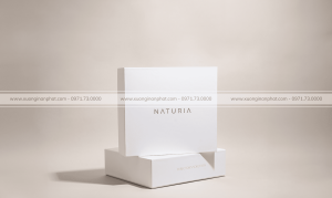 in Hộp mỹ phẩm Naturia