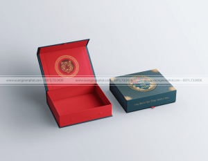 in Vỏ hộp Quà tết Ms.005