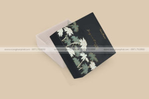 in Hộp mỹ phẩm Taana Baana