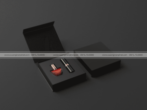 in Hộp đựng son