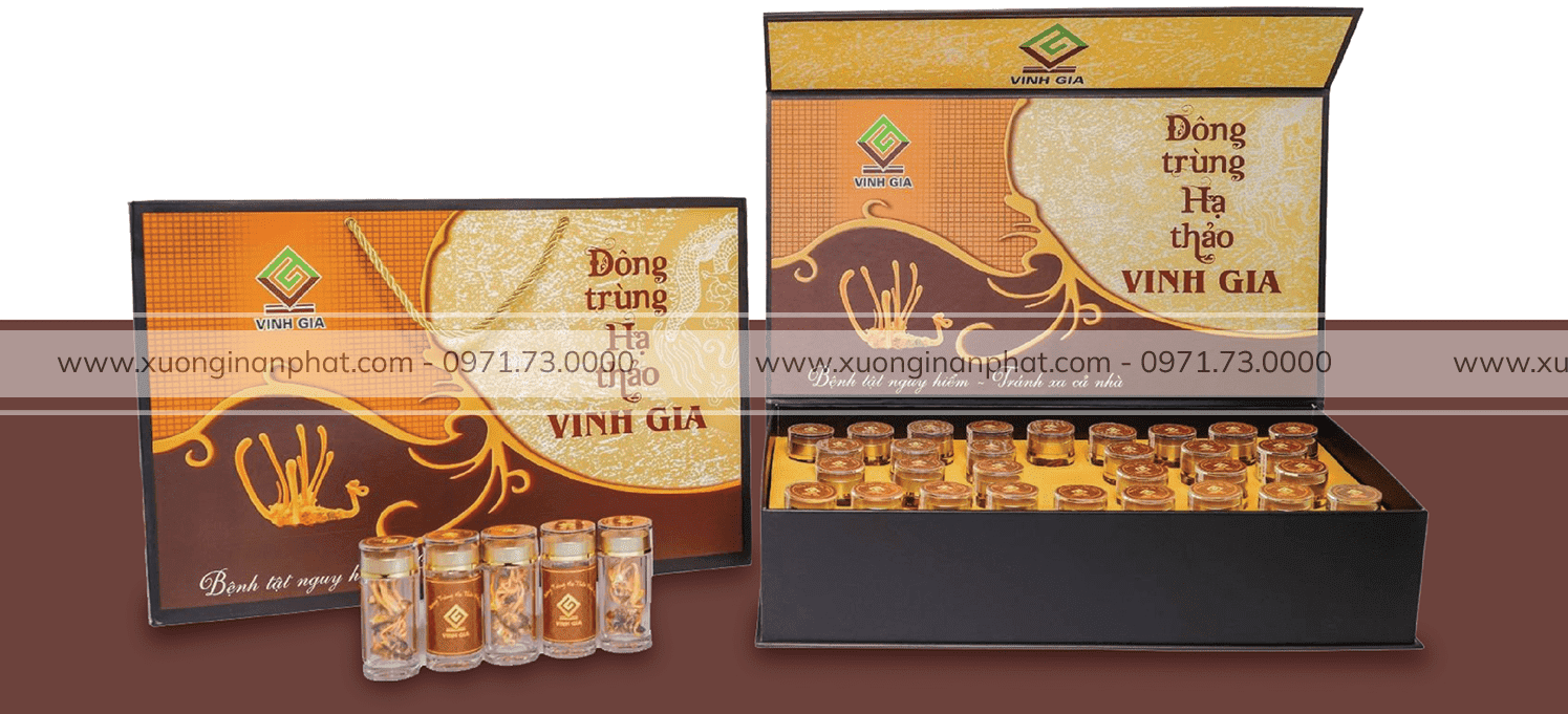 Tạo Dấu Ấn Với in Hộp Đông Trùng Hạ Thảo Chuyên Nghiệp