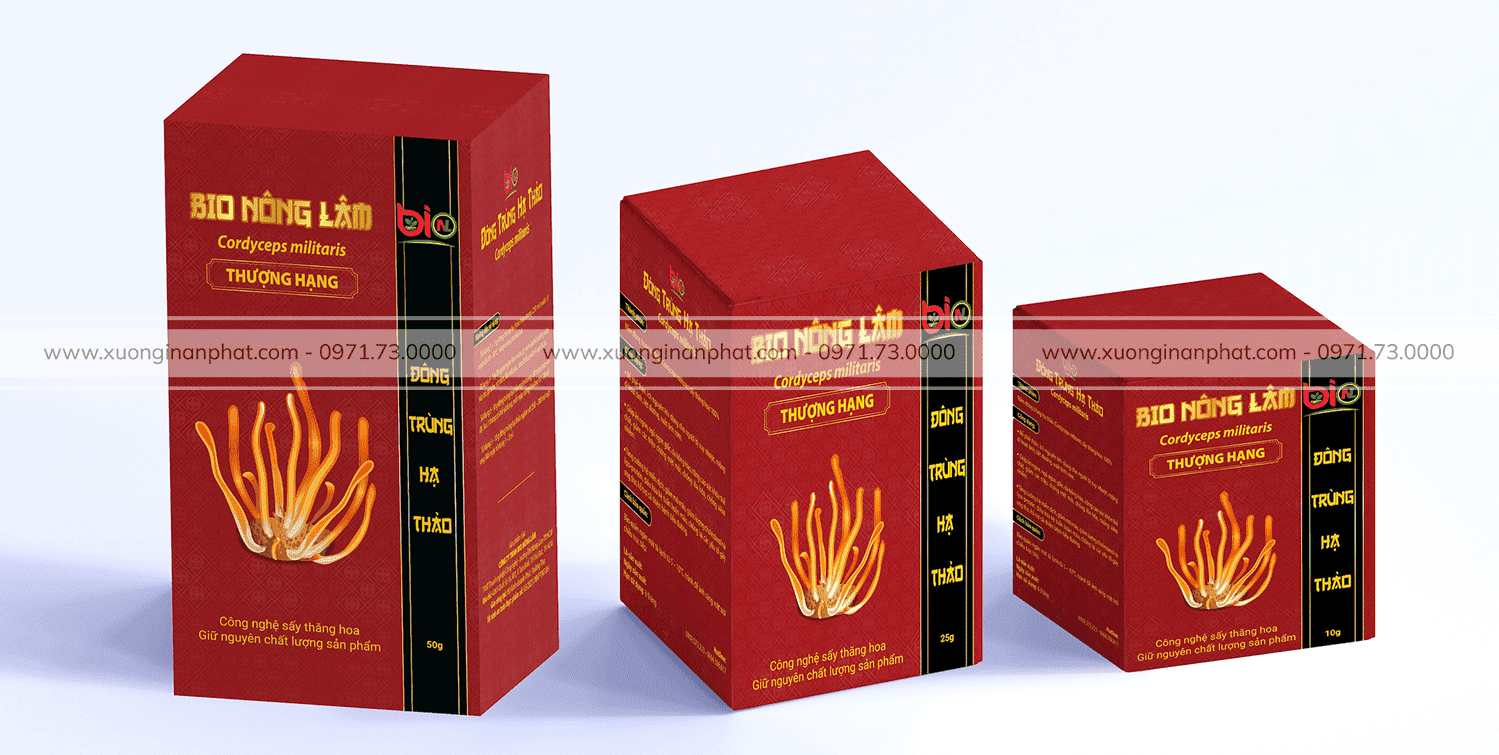 in-hop-dong-trung-ha-thao-Phong-cach-va-su-sang-trong