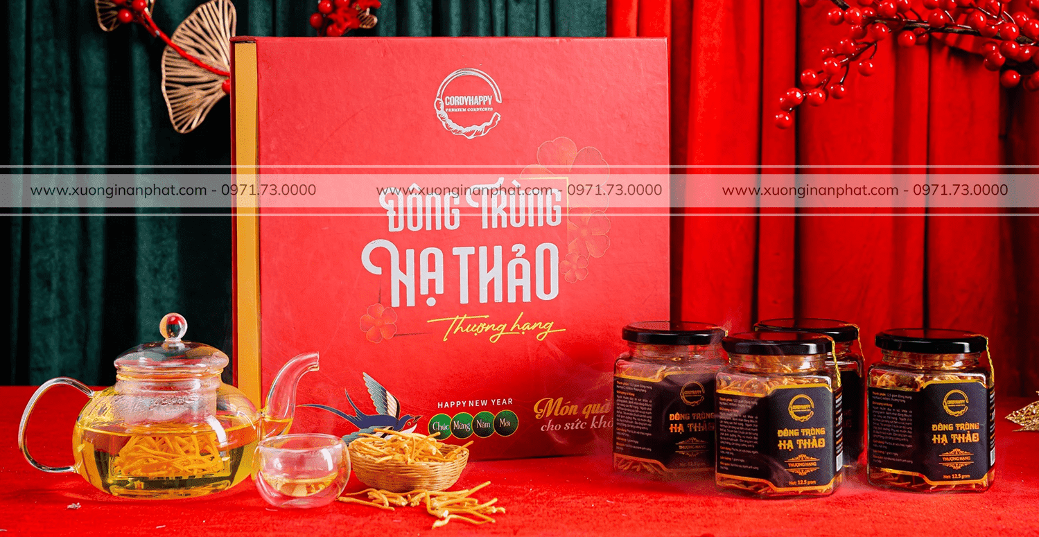 in-hop-dong-trung-ha-thao-dep-mat-thu-hut-khach-hang