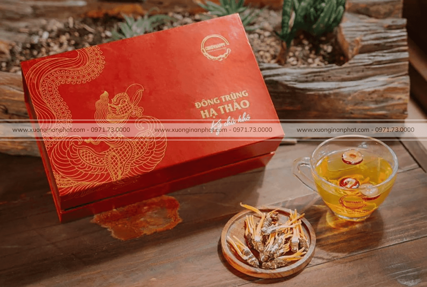 in-hop-dong-trung-ha-thao-tiet-kiem-chi-phi